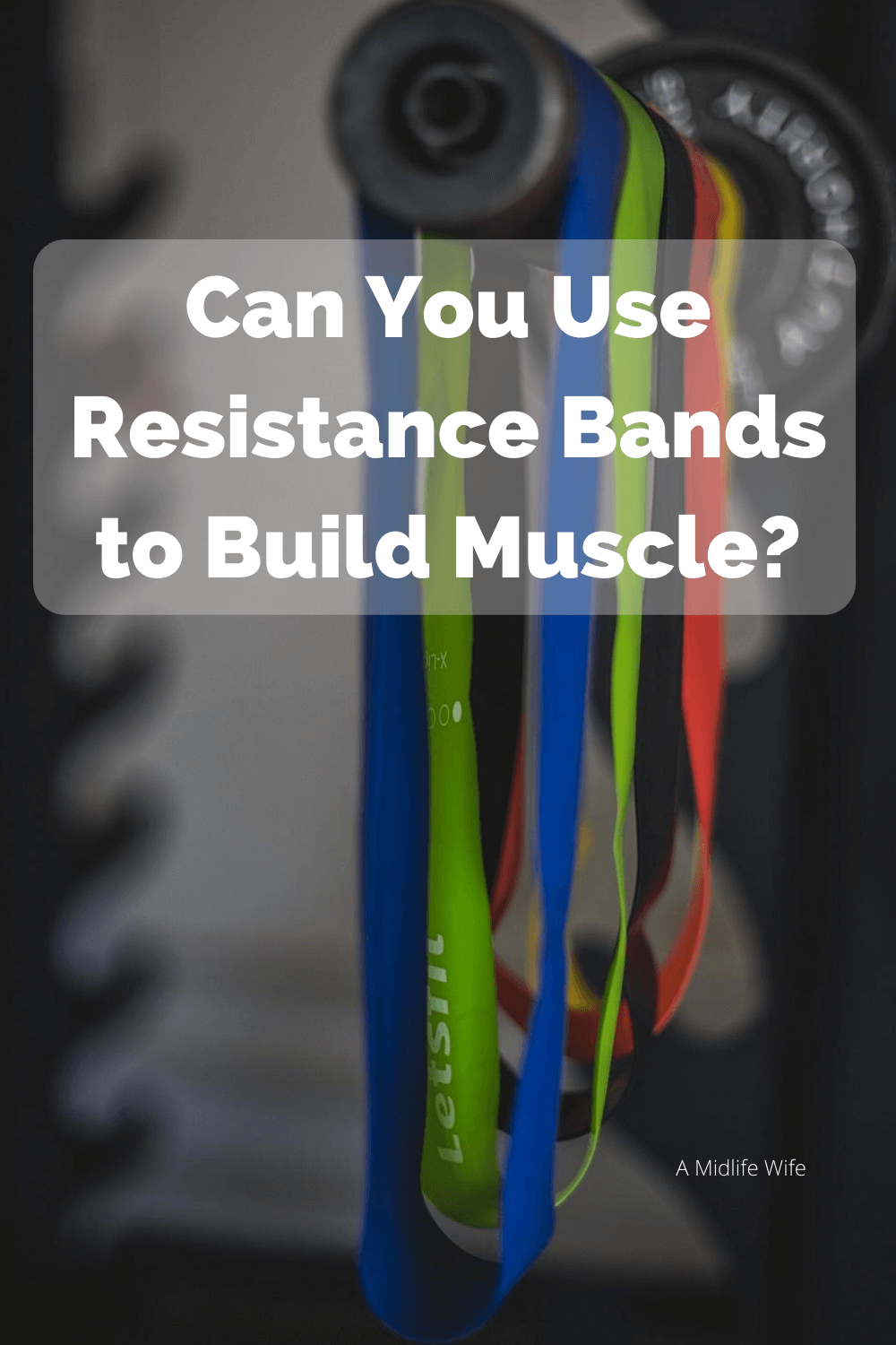 Do Resistance Bands Work To Build Muscle